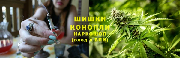эйфоретик Анжеро-Судженск