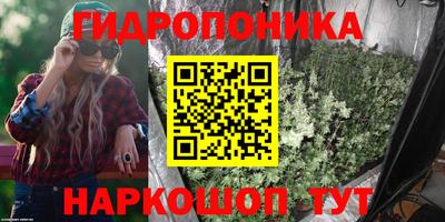 стаф Балаково