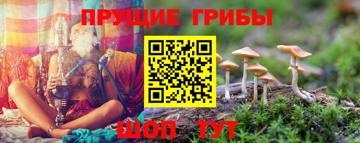 Галлюциногенные грибы прущие грибы  как найти закладки  Грязи  Вход с VPN 