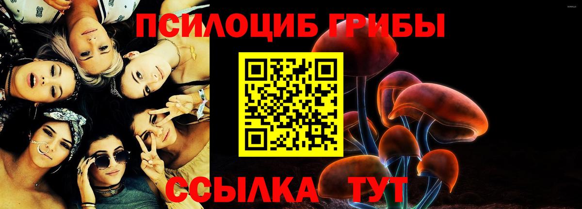 Галлюциногенные грибы Magic Shrooms Грязи